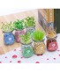Lọ sữa chua mọc cây xinh xinh để bàn làm việc
